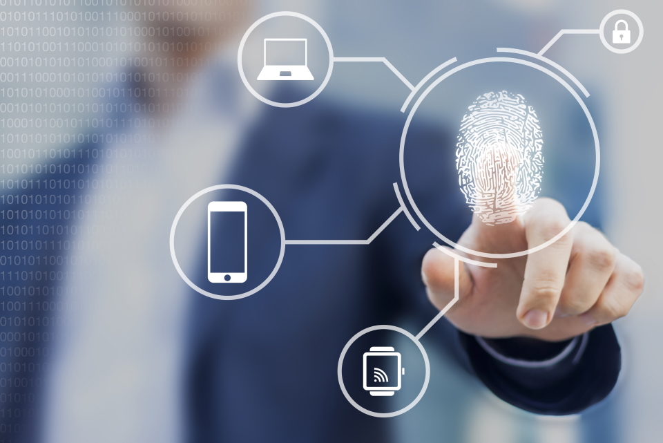 Secure login for Australia and New Zealand tendering platforms